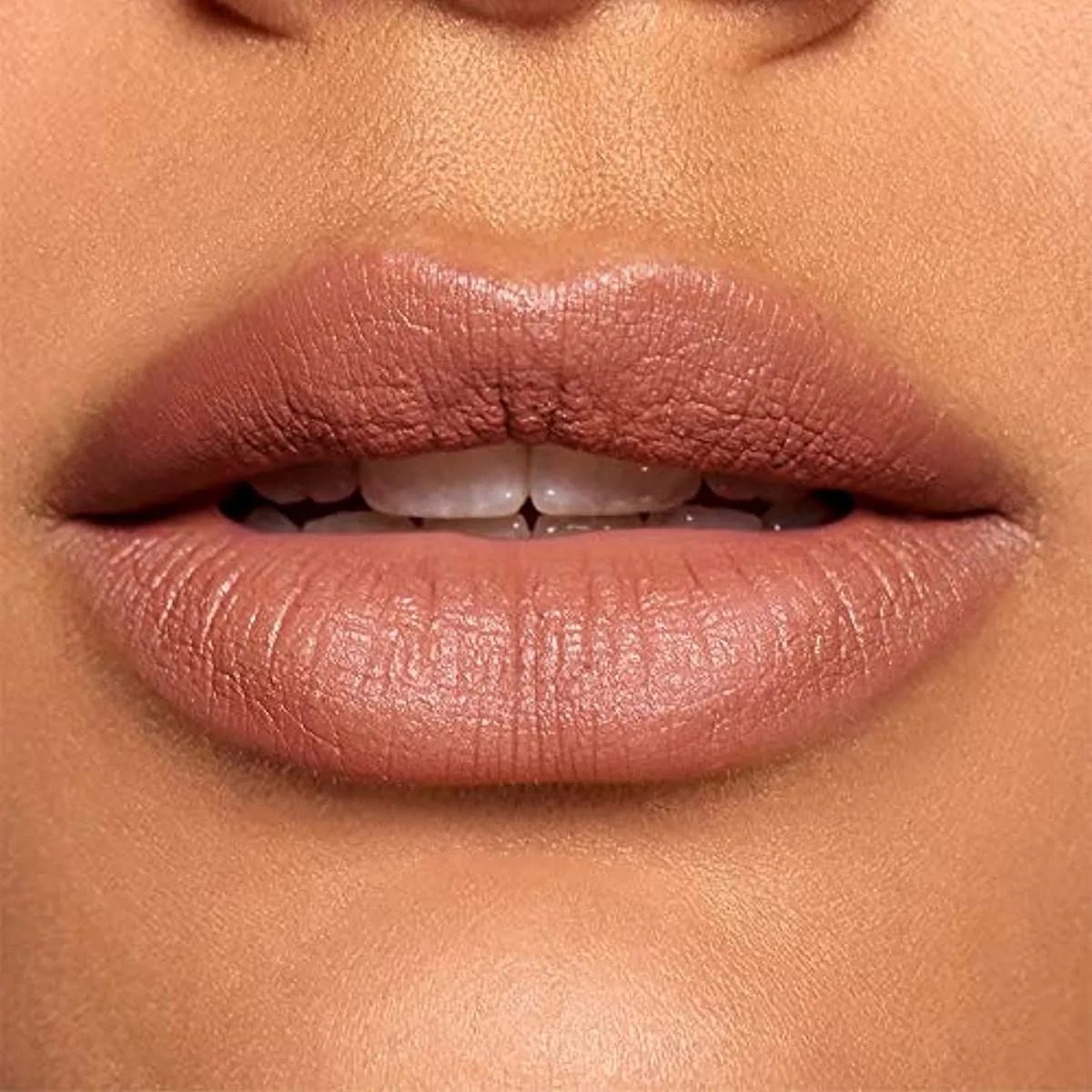 LOreal Paris Color Riche Ultra-Matte Nude Lipstick